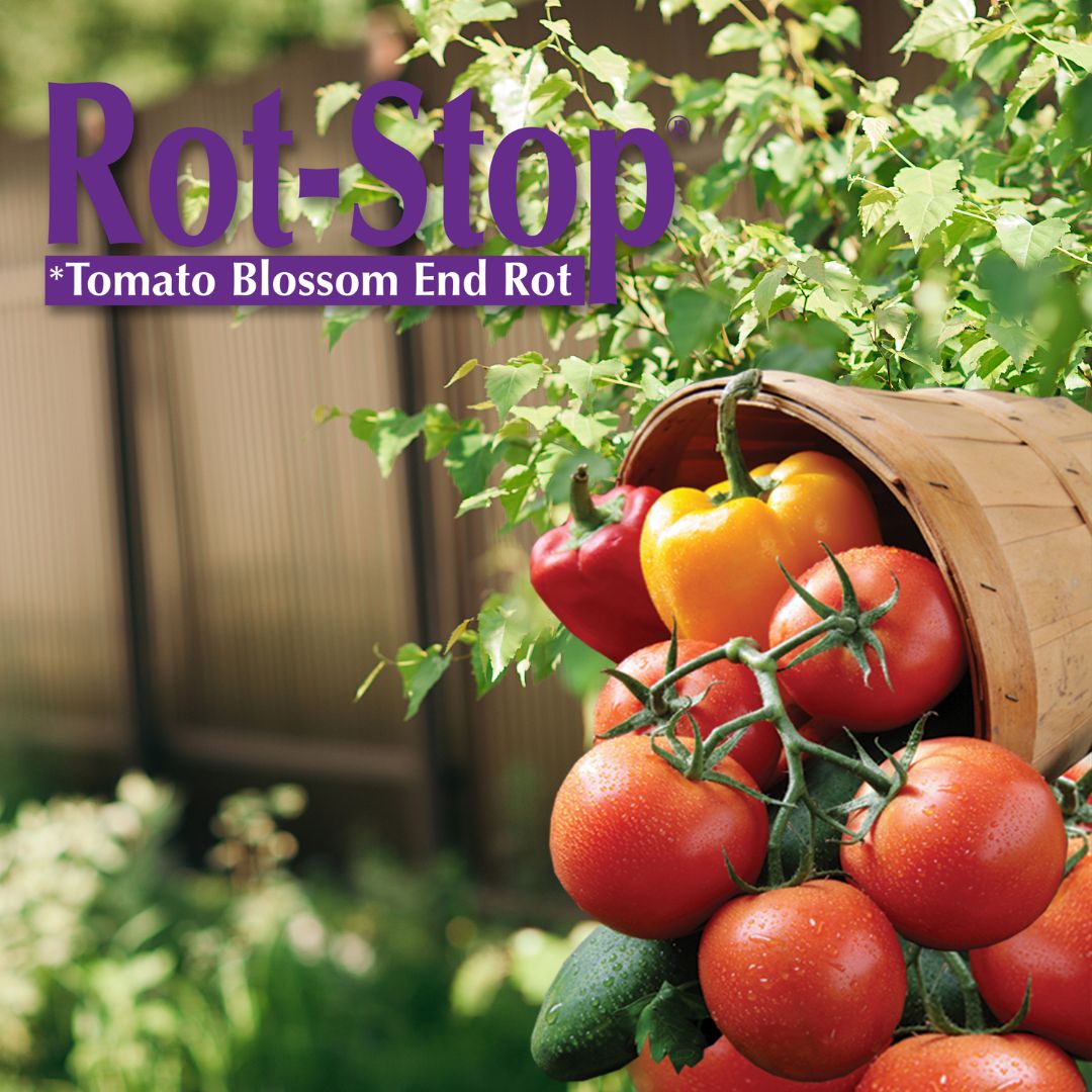 Rot-Stop Tomato Blossom End Rot Spray – Bonide – 32 oz